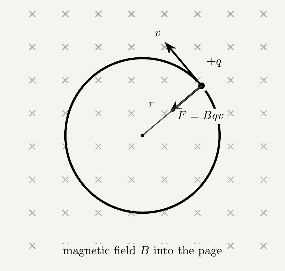 A circle representing the path of a positive charge moving through a uniform magnetic field directed into the page, shown by a grid of small crosses. At a point on the circle, an arrow labelled v is drawn tangent to the circle, showing the direction of velocity, and a shorter arrow labelled F equals Bqv points from that same point toward the centre of the circle, showing the centripetal force. A line labelled r is drawn from the centre to the point on the circle, showing the radius.