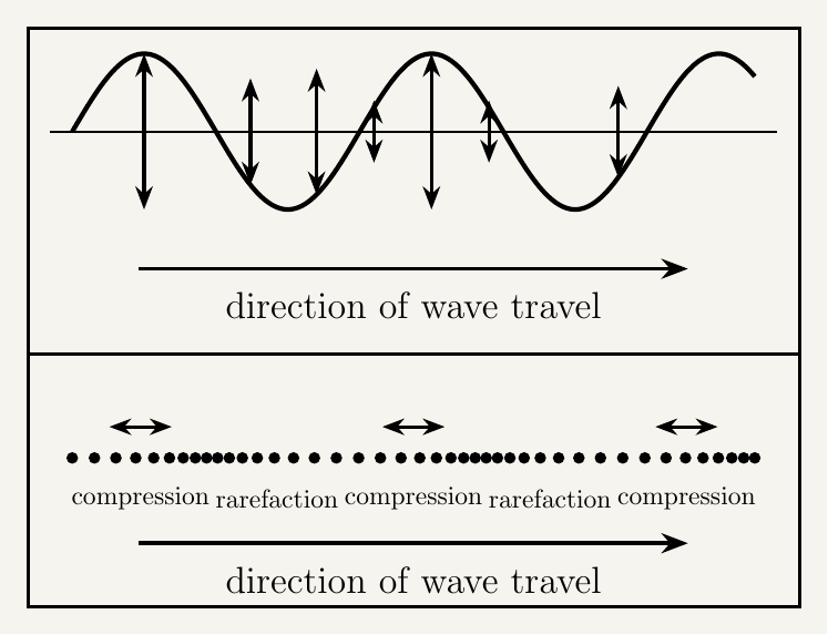 Two stacked diagrams sharing the same horizontal direction-of-travel arrow, one above the other, for direct comparison. The top diagram illustrates a transverse wave: a horizontal line with a smooth continuous sine-wave curve drawn along it, with small vertical double-headed arrows at several points along the curve showing the up-and-down oscillation direction of particles, and one larger horizontal arrow beneath labelled direction of wave travel, clearly perpendicular to the vertical oscillation arrows. The bottom diagram illustrates a longitudinal wave: a horizontal row of evenly spaced small dots representing particles, but grouped so that some regions show the dots bunched closely together labelled compression and other regions show the dots spread further apart labelled rarefaction, alternating periodically along the row, with small horizontal double-headed arrows above a few particles showing their back-and-forth oscillation direction, and one larger horizontal arrow beneath labelled direction of wave travel, parallel to the small oscillation arrows above the particles.