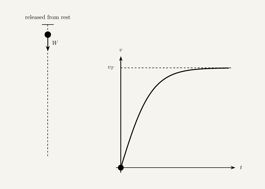 An animation with two panels side by side. On the left, a ball falls vertically from rest, with a downward arrow labelled W for weight staying constant in length throughout, and an upward arrow labelled D for drag that starts at zero length and grows as the ball speeds up, eventually becoming the same length as the weight arrow. On the right, a velocity-time graph builds up as a dot traces a curve that rises steeply at first, then curves over with continuously decreasing gradient, flattening out to approach a horizontal dashed line labelled v subscript T for terminal velocity, which it approaches asymptotically but never crosses. The dot reaches the dashed line at exactly the moment the drag and weight arrows on the left become equal in length. The animation loops continuously.
